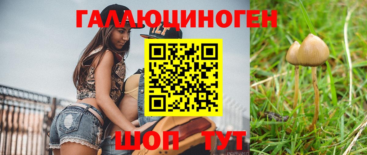 Псилоцибиновые грибы мицелий  Вход с VPN  Ярцево  наркотики  Псилоцибиновые грибы мухоморы 